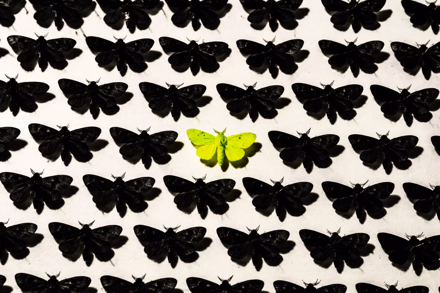 I NEVER FIT IN — artwork 01 from the series