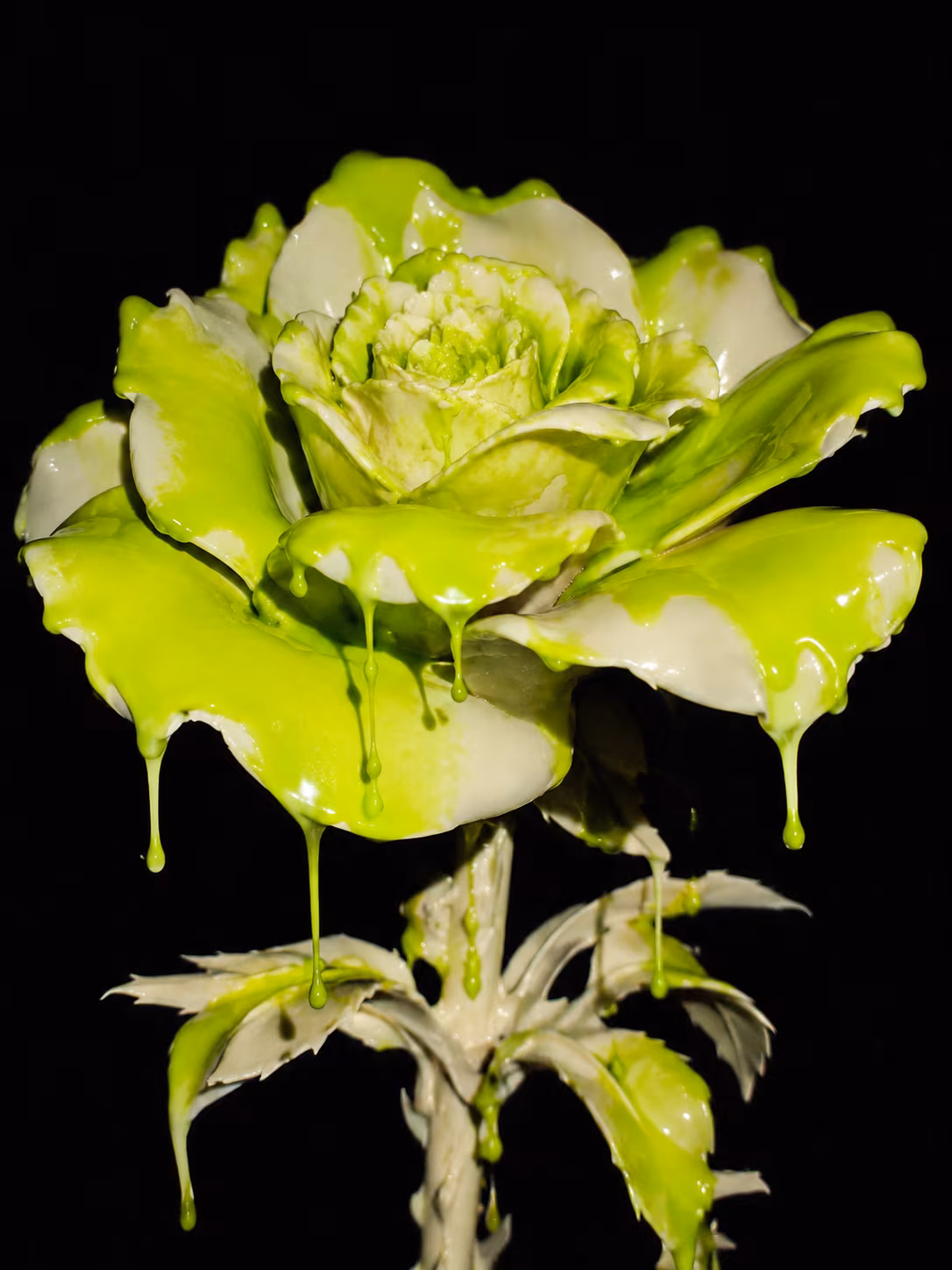 BEAUTIFUL, THEN GONE — artwork 04 from the series