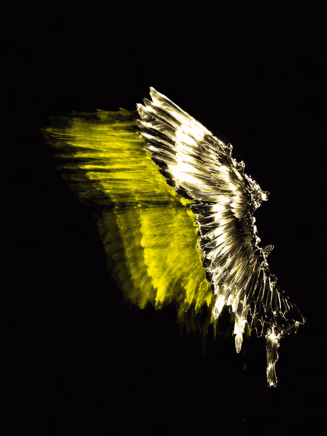 I BURNED IT ALL DOWN — artwork 08 from the series